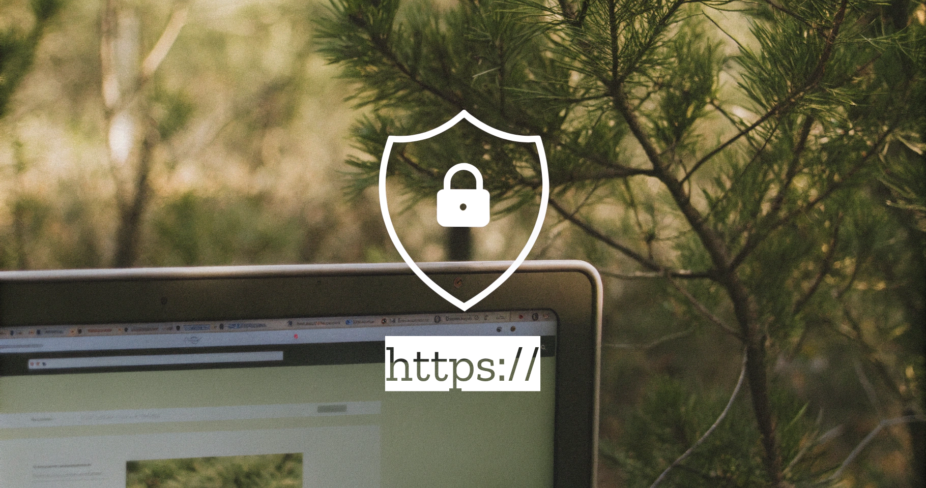 SSL Certificates