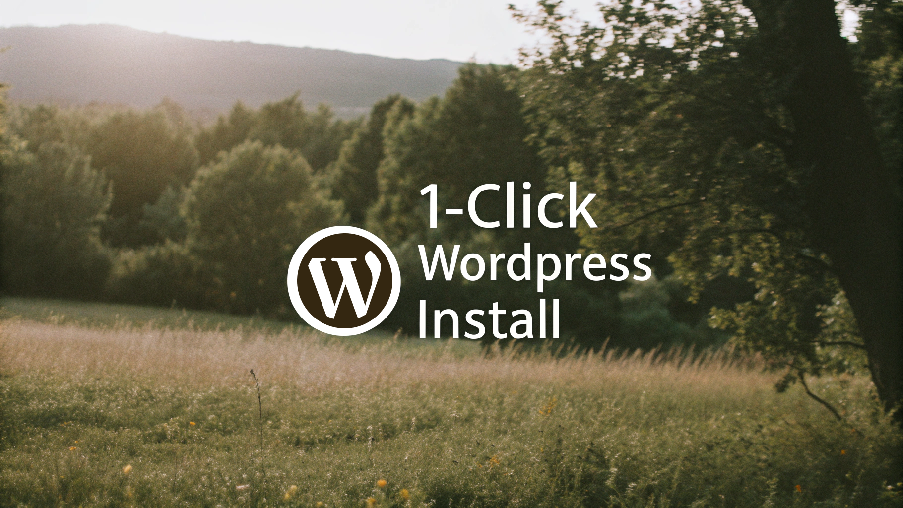 WordPress Installation